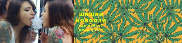 PSILOCYBIN Наволоки